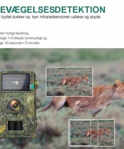 Vildtkamera